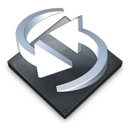 description of the image