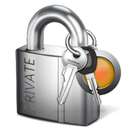 description of the image